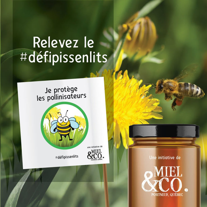 Le #défipissenlits - Miel & Co